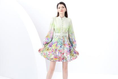 Women's Lantern Sleeve Floral Print Mini Dress