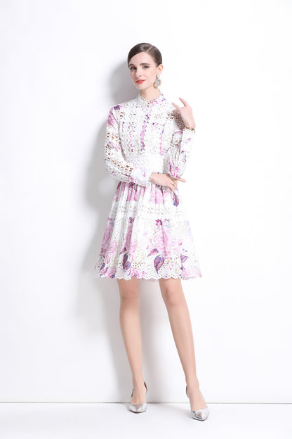 Women's Embroidered Printed Lace Mini Dress