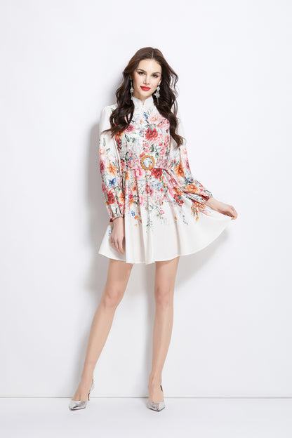 Women's Lantern Sleeve Floral Print Mini Dress