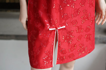 Women's Chinese Cheongsam Lace Embroidery Mini Dress