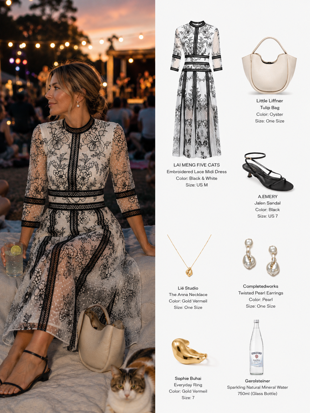 Elegant Embroidered Mesh Midi Dress – Black & White - LAI MENG FIVE CATS