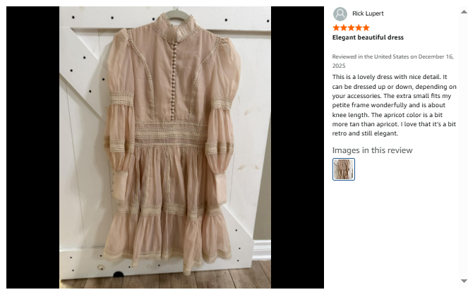 BK-Organza Lace Puff Sleeve Mini Dress - LAI MENG FIVE CATS