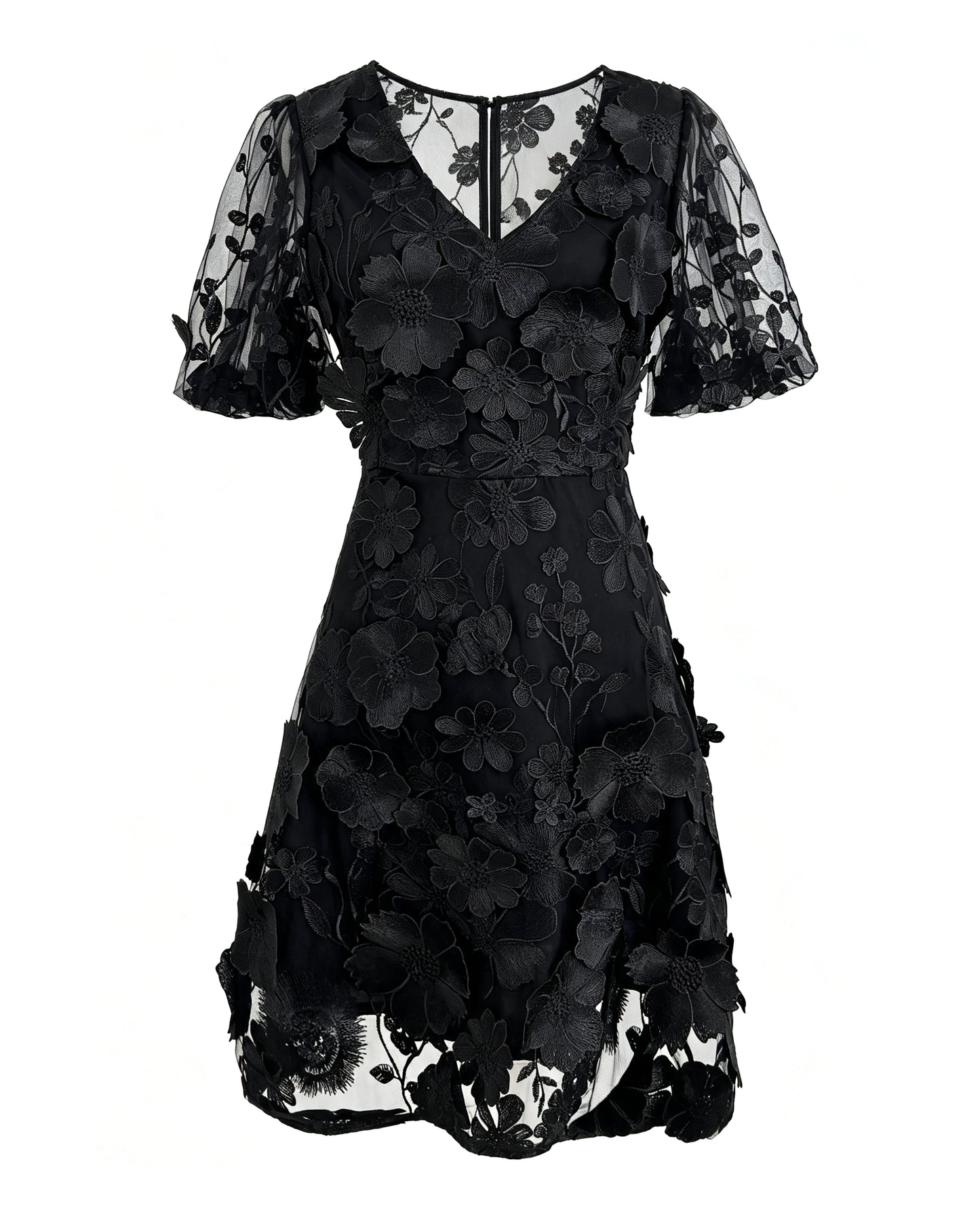 Black Floral Embroidered V-neck Mini Dress