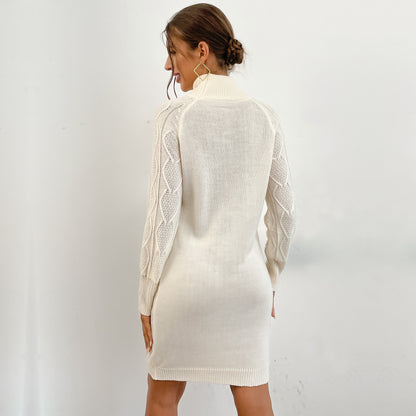 Women Turtleneck Loose Knit Long sleeve Mini Sweater Dress Pullover Dress