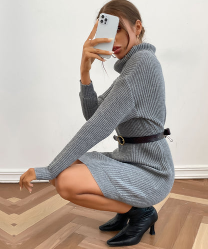 Women Turtleneck Loose Knit Long sleeve Mini Sweater Dress Pullover Dress